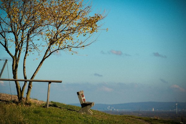 Voies Prometteuses : Explorez les Horizons Éblouissants d'une Carrière Médicale Après votre Formation