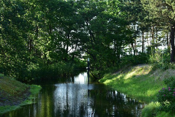 Urges Neurologiques : Guide Complet sur les AVC et Leur Gestion Essentielle